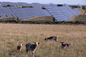 Portugal Exporting Energy to France